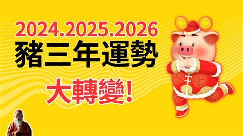 屬豬幸運色2024|2024年屬豬穿什麼顏色？紫色深藍旺全年 